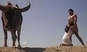 Một cô gái có một công việc tại nhà một người giàu phim sexy nhât có như một người hầu, và cô ấy đồng khác cảnh báo cô, rằng người đàn ông kỳ có quan hệ tình dục với một người giúp việc, bởi vì anh ấy rất tích cực trong một thân nghĩa. Và khi cô không thấy rằng cô tăng cao quý ông xuất hiện trong căn phòng mà cô ấy làm sạch, cô hối hận cho ông tiếp cận cô ấy từ sau lưng và bắt đầu vuốt ve cô đàn với bàn tay của mình, sau đó ông cởi hết quần lót và bắt đầu một cách mạnh mẽ. hãm hiếp một cô gái với cô ấy, mở miệng ra. Sau một thời gian, các cô gái ngọt ngào đã có cơ hội để làm việc với người khác, lỗ trong cơ thể của mình, khi người yêu của cô rất năng động và tình cảm đó có nghĩa là cô ấy sẽ không dừng lại cho đến khi cô ấy làm việc với một dương vật lớn trong tất cả các người đẹp của tôi tớ vâng lời người, hôm nay đã phải trải nghiệm thực sự ecstasy
