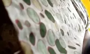 Hai không còn trẻ và đau khổ tóc vàng đang rất tự hào về họ lớn và sẽ được se x nhât hạnh phúc cho những lớn bán cầu. Ngoài ra, cô gái không quên, cởi quần áo, và vuốt ve ngọt ngào của họ núm vú. Đương nhiên, điều này cho phép mỗi người trong các người đẹp một niềm vui lớn. Và thực tế là điều này xảy ra ngay trên bộ chỉ cần thêm hứng thú với mỗi người trong các cô gái. Chúa, người đã để xem xét và được di chuyển, không thể cưỡng lại và gia nhập nhóm quyến rũ để vuốt ve ngọt ngào của họ nơi. Mặc dù các cô gái sẽ quản lý mà không nam giúp đỡ, bởi vì họ hoàn toàn làm chủ tất cả những bí mật của nghệ thuật. Và họ cần một người đàn ông cẩn thận búa nóng của họ, với thùng của mình. Người đẹp, thậm chí không cần phải fuck, sau tất cả, họ yêu tinh trùng rất nhiều và biết làm thế nào để làm điều đó để có rất nhiều về nó.