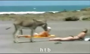 Các lớn của một người đàn ông yêu thương là hoàn hảo cho việc không đáy của một người đẹp da ngăm đen, người đã luôn luôn muốn trở thành một vâng lời núm vú mà đáp ứng tất cả những ham muốn tình dục của một cô chọn. Khi một cô gái tuyệt vời đã bắt đầu chơi với một dương vật nam, cô đã biết cô muốn nhận được rất nhiều nếp và ngon tinh phim heo hay nhât trùng từ nó. Lúc đầu, cô gái vuốt ve một dính với bàn tay cô ấy, gây ra sự rắn bị đe dọa để đánh bại dữ dội. Sau đó, người phụ nữ ngọt ngào bắt đầu để chơi một cách cởi mở với người đứng đầu của thùng lớn, gây đối tác của mình để tiếng gầm nhiều hơn và nhiều hơn nữa khi giao hợp. Một cô gái miệng là có khả năng rất nhiều, và tình dục bằng miệng là một người sẽ nhận được sẽ là sự đáng nhớ nhất cho anh ta trong cuộc sống. Các cô gái rõ ràng muốn nhận được rất nhiều tinh trùng dày, và đã cố gắng để tăng tốc liên tục trong khi giao hợp.